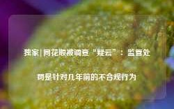 独家|同花顺被调查“疑云”：监管处罚是针对几年前的不合规行为