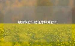 郑州银行：聘任李红为行长