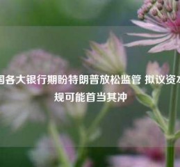 美国各大银行期盼特朗普放松监管 拟议资本新规可能首当其冲