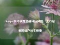 Synapse倒闭暴露金融科技风险，上万名美国储户损失惨重