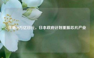 狂砸10万亿日元，日本政府计划重振芯片产业