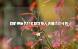 特朗普提名的多位官员人选被指涉性丑闻