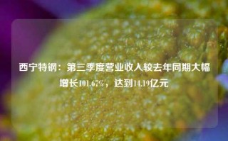 西宁特钢：第三季度营业收入较去年同期大幅增长101.67%，达到14.19亿元