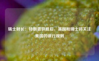 瑞士财长：特朗普获胜后，英国和瑞士将关注美国的银行规则