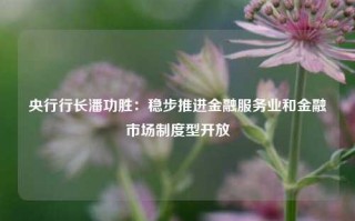 央行行长潘功胜：稳步推进金融服务业和金融市场制度型开放