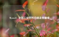 Mysteel：全国工业材料价格走势偏强