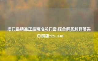 澳门最精准正最精准龙门蚕:综合解答解释落实_白银版2024.11.08