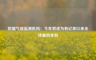 欧盟气候监测机构：今年将成为有记录以来全球最热年份