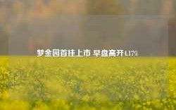 梦金园首挂上市 早盘高开4.17%