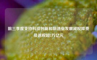 前三季度支持科技创新和制造业发展减税降费及退税超2万亿元