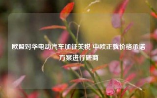 欧盟对华电动汽车加征关税 中欧正就价格承诺方案进行磋商