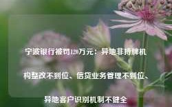 宁波银行被罚120万元：异地非持牌机构整改不到位、信贷业务管理不到位、异地客户识别机制不健全