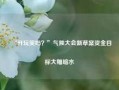 “开玩笑吗？”气候大会新草案资金目标大幅缩水