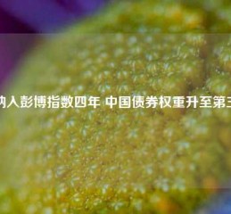 纳入彭博指数四年 中国债券权重升至第三