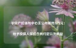 平安产险扬州中心支公司被罚25万元：给予投保人保险合同约定以外利益