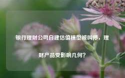 银行理财公司自建估值模型被叫停，理财产品受影响几何？