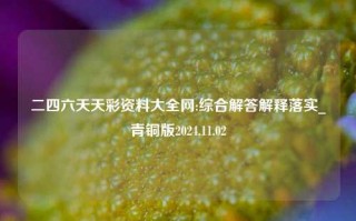 二四六天天彩资料大全网:综合解答解释落实_青铜版2024.11.02