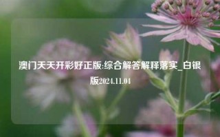 澳门天天开彩好正版:综合解答解释落实_白银版2024.11.04