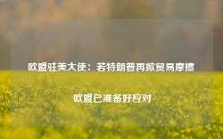 欧盟驻美大使：若特朗普再掀贸易摩擦 欧盟已准备好应对