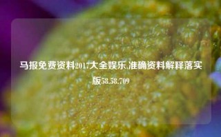 马报免费资料2017大全娱乐,准确资料解释落实版58.58.709