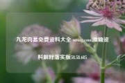 九龙肉慕免费资料大全 wrsug.com,准确资料解释落实版58.58.685