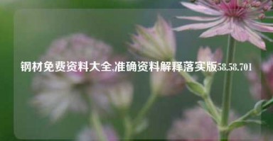 钢材免费资料大全,准确资料解释落实版58.58.701