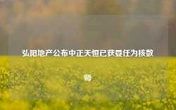 弘阳地产公布中正天恒已获委任为核数师