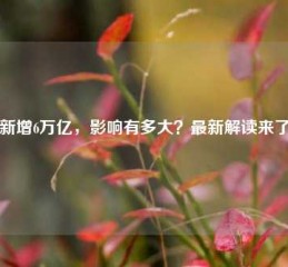 新增6万亿，影响有多大？最新解读来了