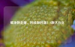 破净股走强，科技股回落！A股大分化