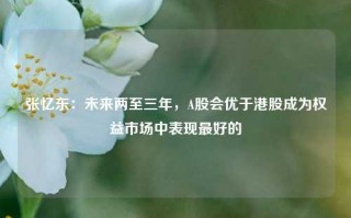 张忆东：未来两至三年，A股会优于港股成为权益市场中表现最好的