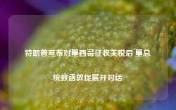 特朗普宣布对墨西哥征收关税后 墨总统致函敦促展开对话