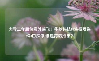 大亏三年股价意外起飞！华映科技10连板后连续3日跌停 谁是背后推手？