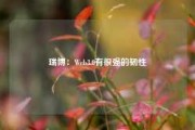 瑞博：Web3.0有很强的韧性