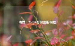 瑞博：Web3.0有很强的韧性