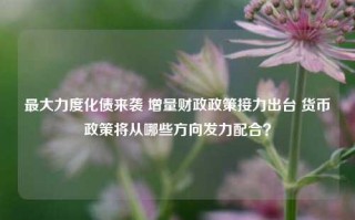 最大力度化债来袭 增量财政政策接力出台 货币政策将从哪些方向发力配合？