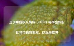 芝加哥期权交易所（CBOE）将推出新的比特币指数期权，以现金结算