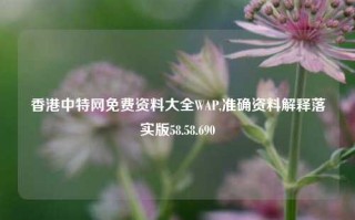 香港中特网免费资料大全WAP,准确资料解释落实版58.58.690