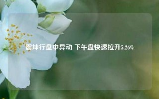 震坤行盘中异动 下午盘快速拉升5.26%