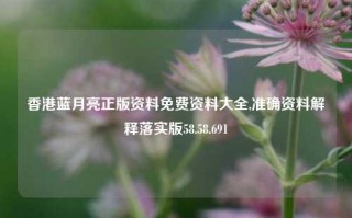 香港蓝月亮正版资料免费资料大全,准确资料解释落实版58.58.691