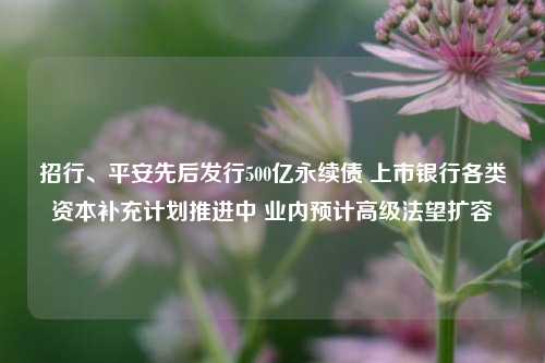 招行、平安先后发行500亿永续债 上市银行各类资本补充计划推进中 业内预计高级法望扩容-第1张图片-热门旅游目的地推荐-旅游攻略