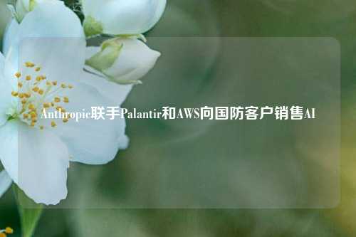 Anthropic联手Palantir和AWS向国防客户销售AI-第1张图片-热门旅游目的地推荐-旅游攻略