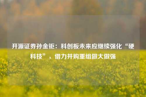 开源证券孙金钜：科创板未来应继续强化“硬科技”，借力并购重组做大做强-第1张图片-热门旅游目的地推荐-旅游攻略