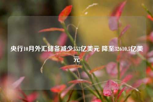 央行10月外汇储备减少553亿美元 降至32610.5亿美元-第1张图片-热门旅游目的地推荐-旅游攻略