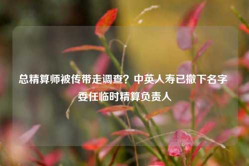 总精算师被传带走调查？中英人寿已撤下名字 委任临时精算负责人-第1张图片-热门旅游目的地推荐-旅游攻略