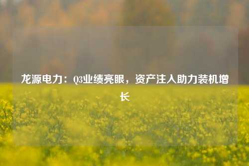 龙源电力：Q3业绩亮眼，资产注入助力装机增长-第1张图片-热门旅游目的地推荐-旅游攻略