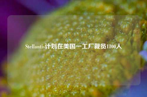 Stellantis计划在美国一工厂裁员1100人-第1张图片-热门旅游目的地推荐-旅游攻略