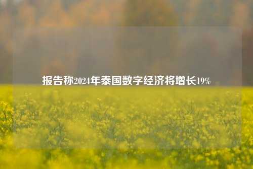 报告称2024年泰国数字经济将增长19%-第1张图片-热门旅游目的地推荐-旅游攻略