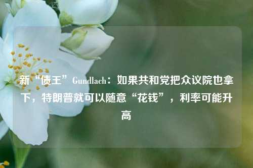 新“债王”Gundlach：如果共和党把众议院也拿下，特朗普就可以随意“花钱”，利率可能升高-第1张图片-热门旅游目的地推荐-旅游攻略