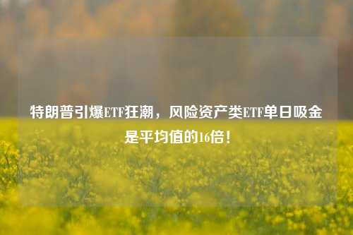 特朗普引爆ETF狂潮，风险资产类ETF单日吸金是平均值的16倍！-第1张图片-热门旅游目的地推荐-旅游攻略