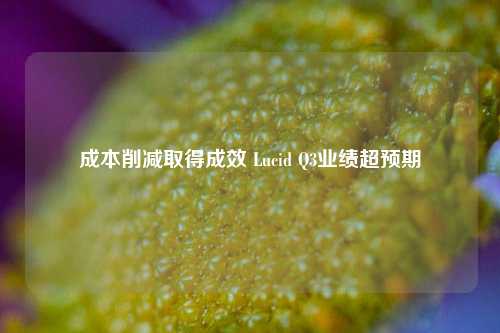 成本削减取得成效 Lucid Q3业绩超预期-第1张图片-热门旅游目的地推荐-旅游攻略